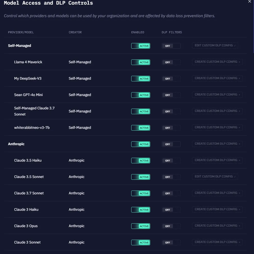 The Model Access and DLP Controls panel showing providers, models, enabled status, and DLP filter toggles